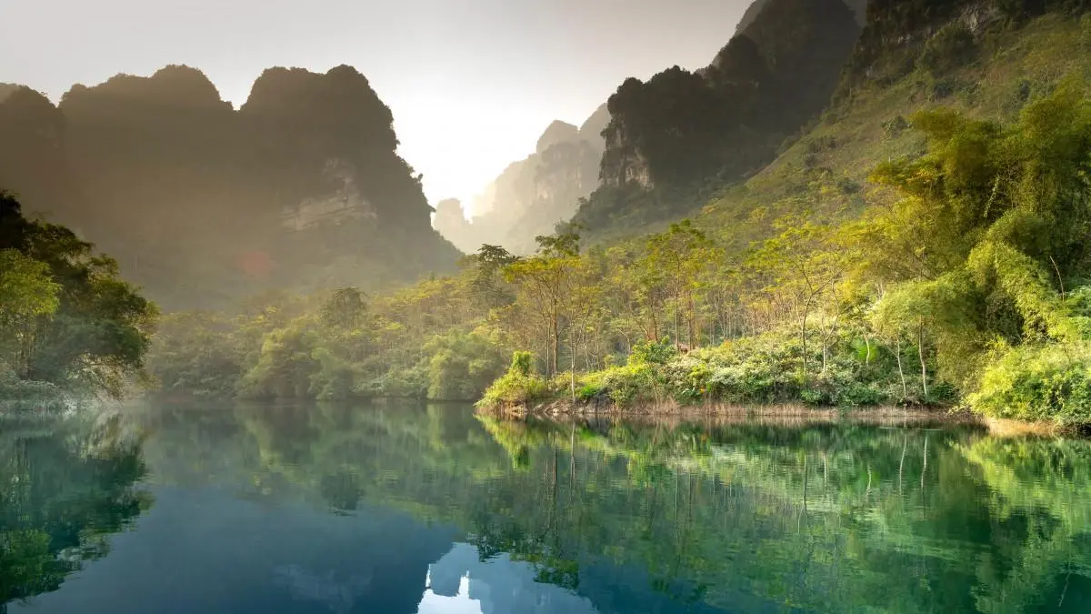 高效高精度独特